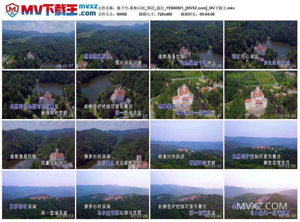 格子兮-茶林山间_国语_流行_YE600501